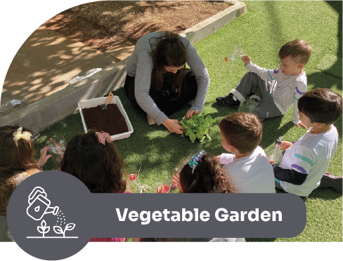 Vetable Garden